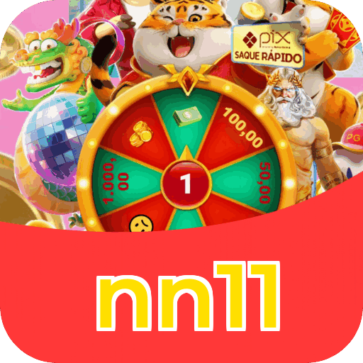 Interface nn11